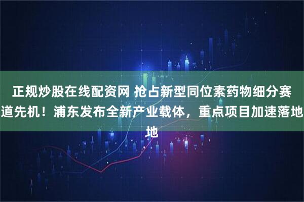 正规炒股在线配资网 抢占新型同位素药物细分赛道先机！浦东发布全新产业载体，重点项目加速落地